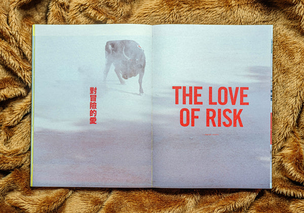 LOST ISSUE ELEVEN (Pre-order)