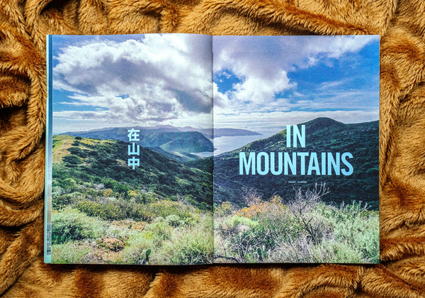 LOST ISSUE ELEVEN (Pre-order)